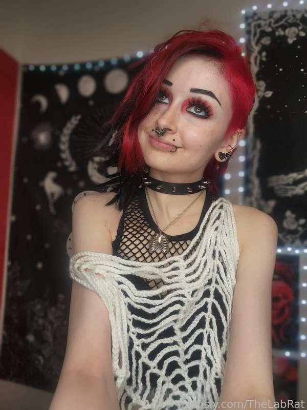 thelabrat image #1