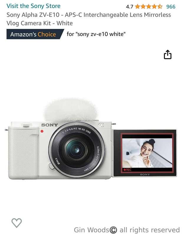 I FOUND THE PERFECT CAMERA!

It’s the same one Alice Delish ..