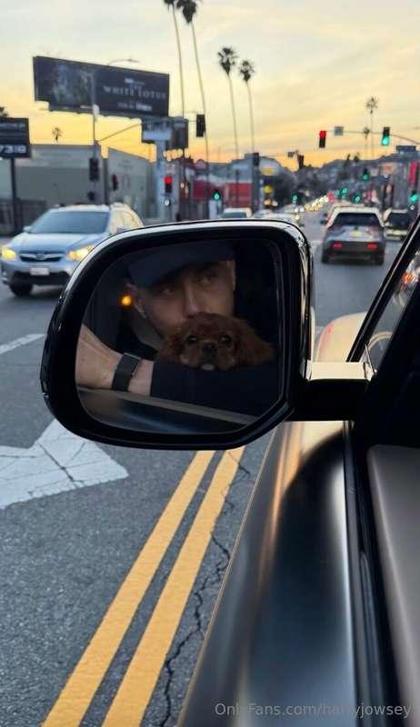 🐶