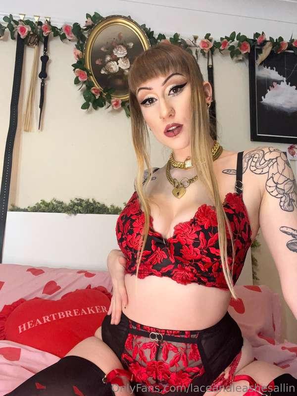 laceandleashesallin image #1