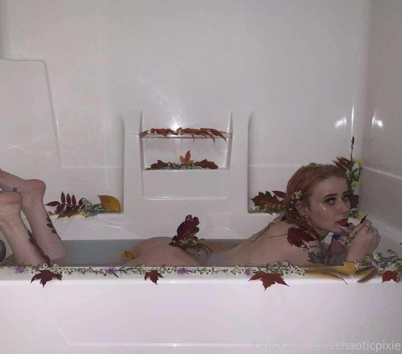 chaoticpixie image #0