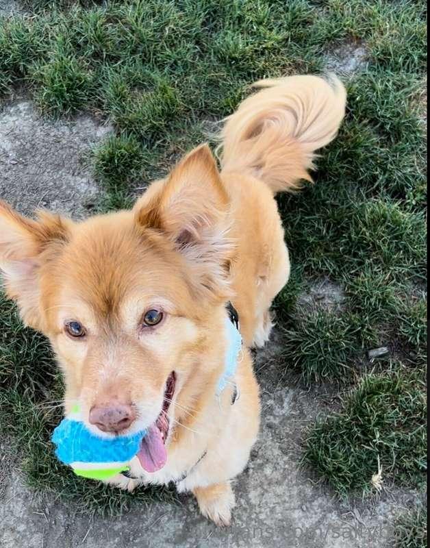 Quick update: Sweet baby Disco is back home and feeling bett..