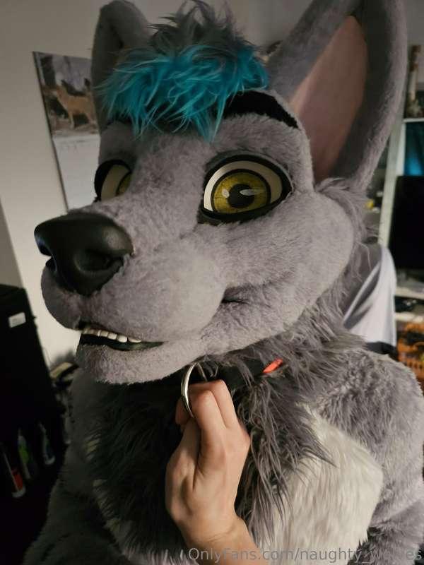 naughty_wolves image #2