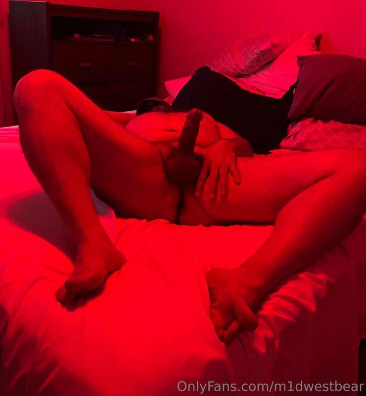 m1dwestbear image #3