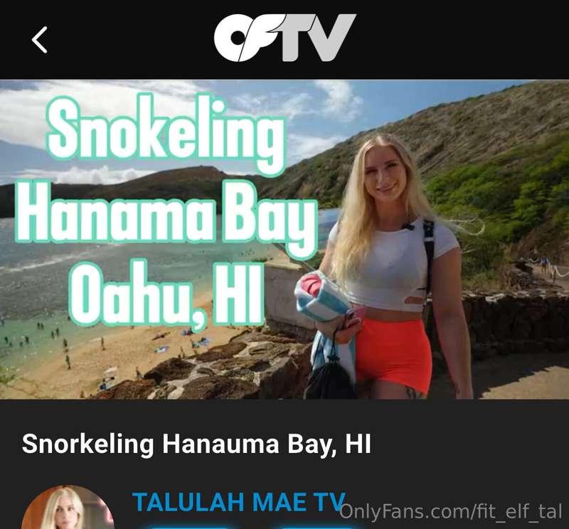 Help keep my snorkel video trending by watching it!! Click 👉..
