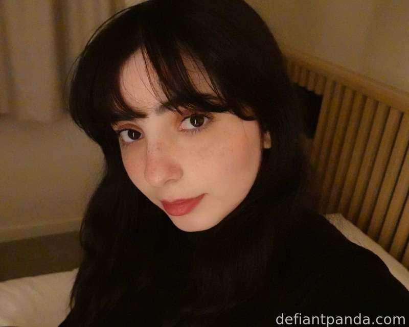 defiantpanda image #1