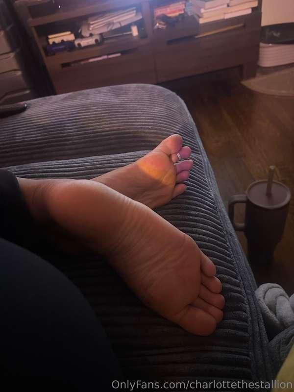 charlottethestallion image #1