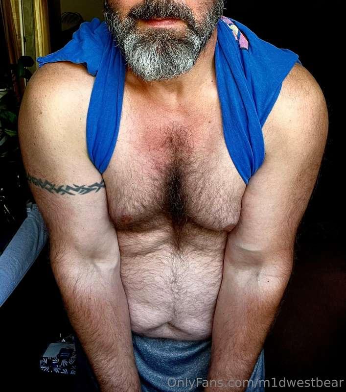m1dwestbear image #3