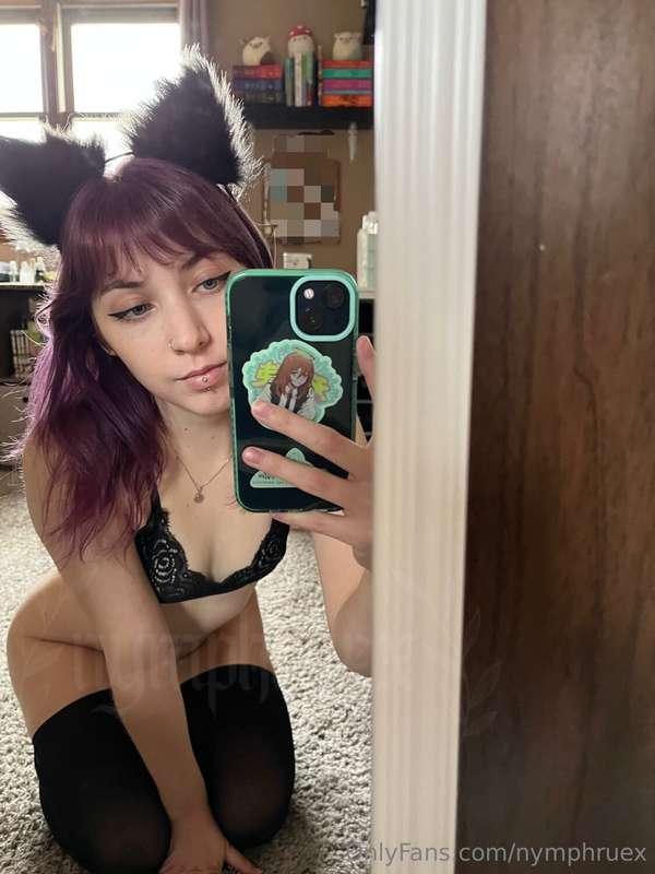 turned into a cute lil fox 