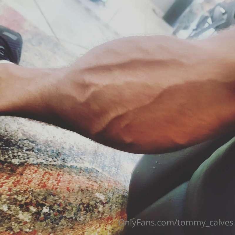 tommy_calves image #2