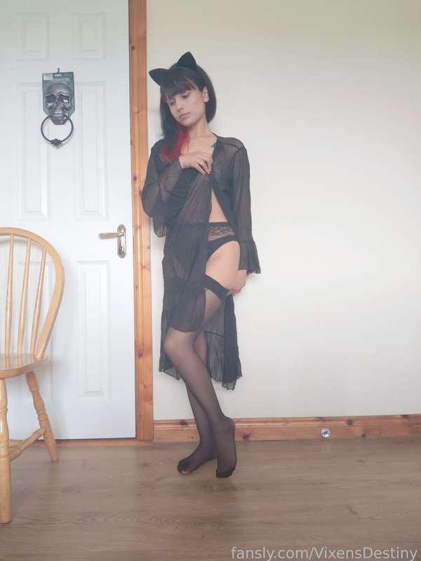 vixensdestiny image #2