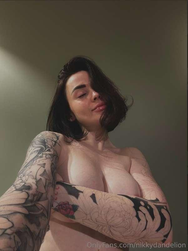 nikkydandelion image #1