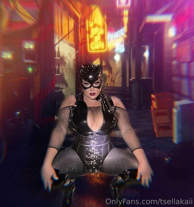 “They say each cat follows her own secret path. Some paths, ..