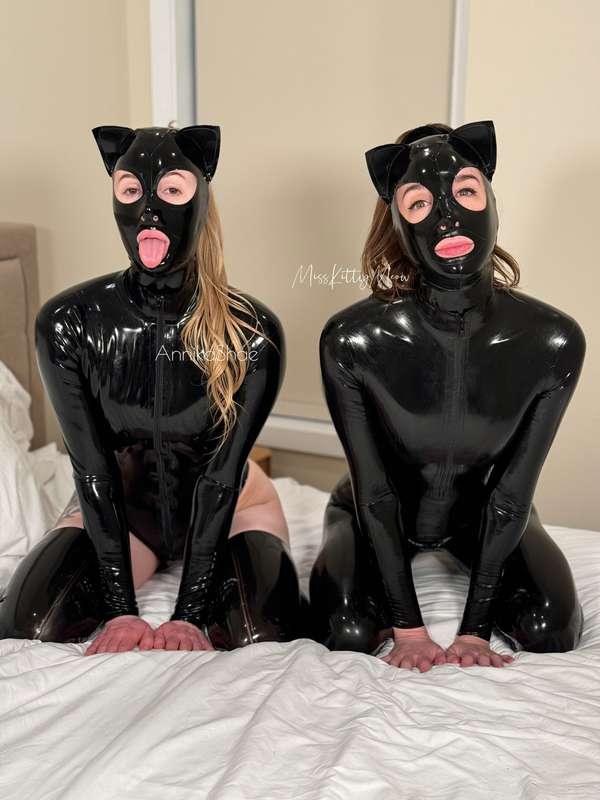 misskittymeow image #2