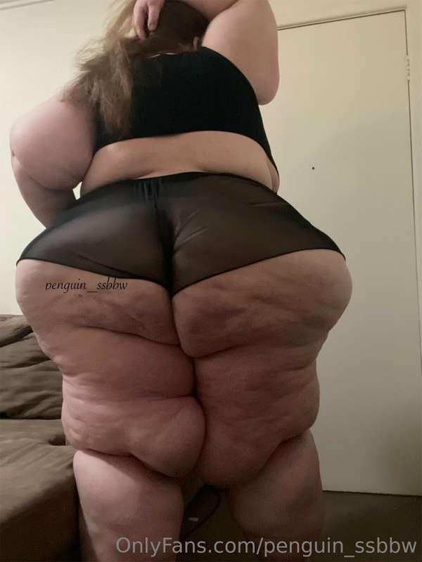 penguin_ssbbw image #1