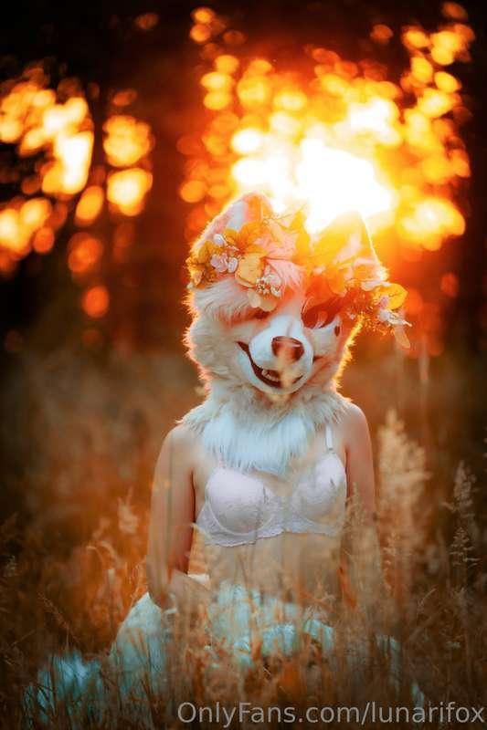lunarifox image #4