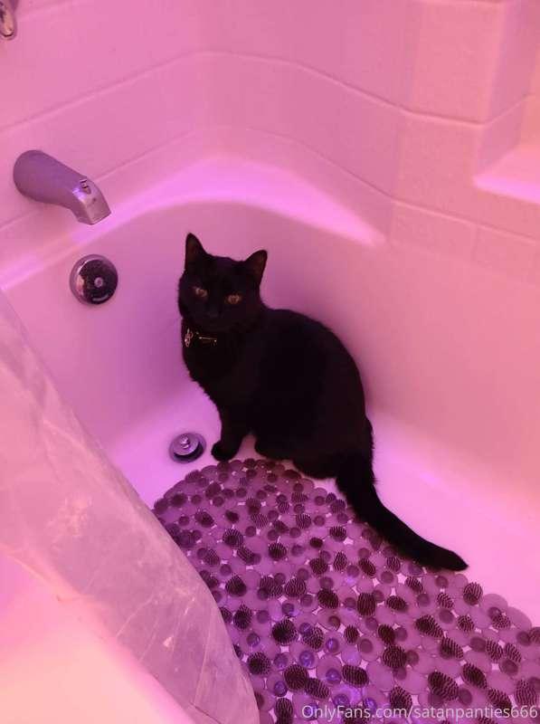 ❕not a sexy post lol❕


Doodle Bob keeps finding places to h..