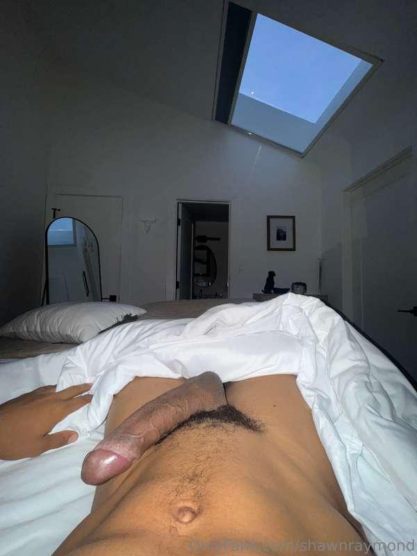 shawnraymond image #0