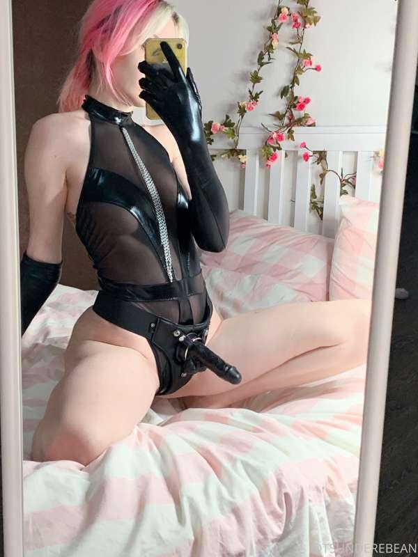 tsunderebean image #8