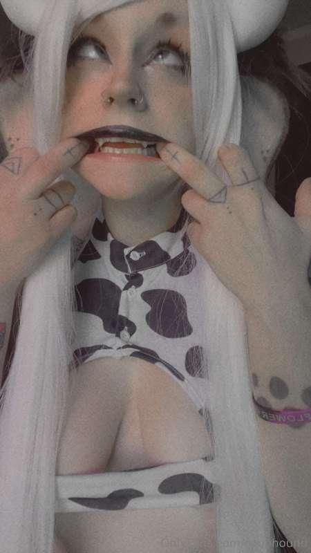 coophound image #11