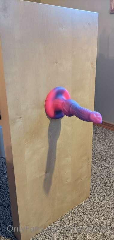 A clever idea to put my new dildo on my bookshelf so I can r..