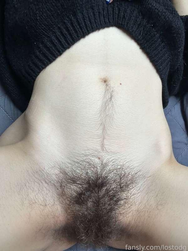 lostodg image #1