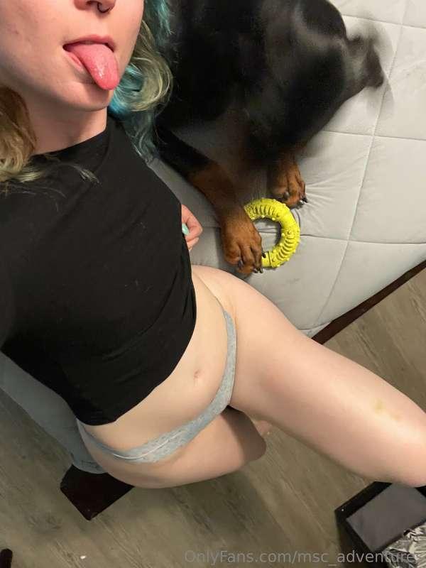 msc_adventures image #9