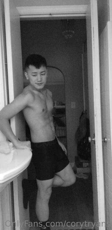corytryans image #0