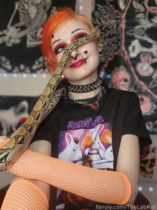 thelabrat image #2