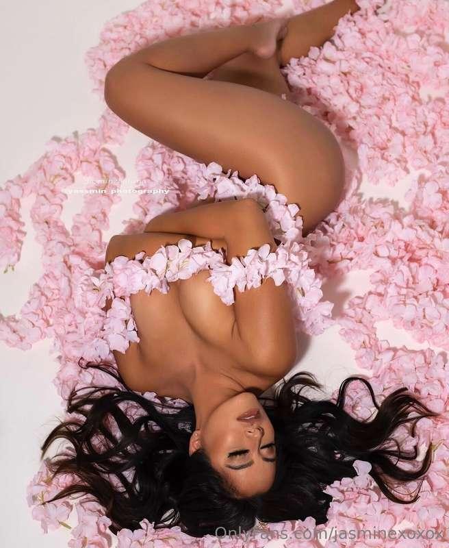 jasminexoxox image #0