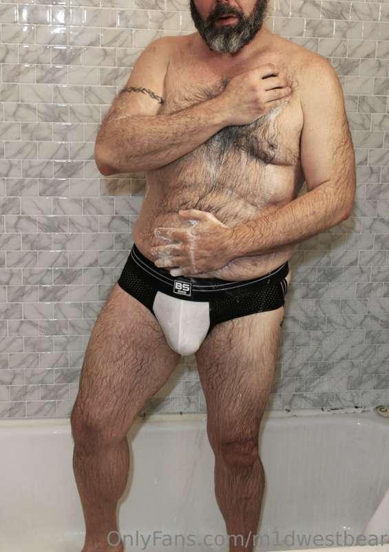 m1dwestbear image #10