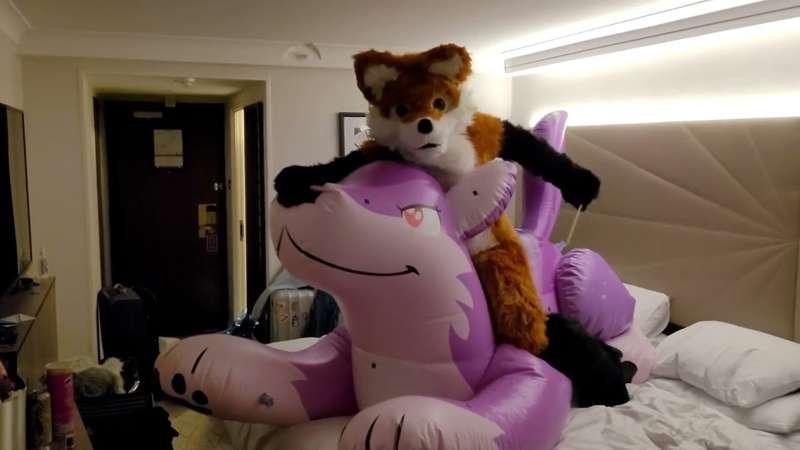 Pink wolf poking by fursuiter