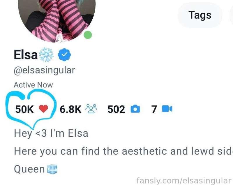 elsasingular image #0