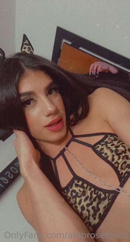 Soon kitty video 😻🥵