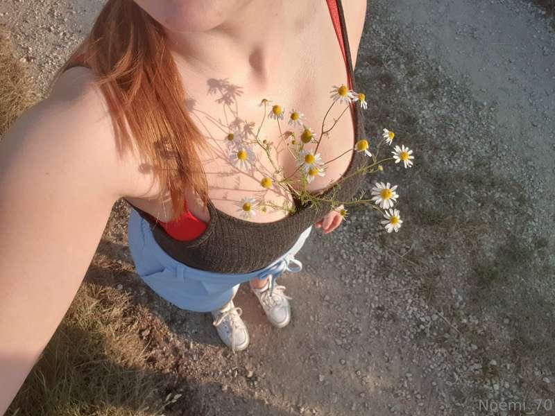 ein bisschen sommer 😉🌾für euch