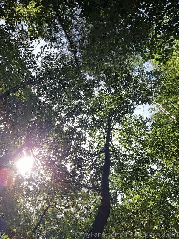 the.real.ninja.girl image #3