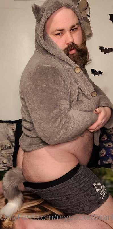 Or am I a fox with this tail, because I'm feeling very foxy ..