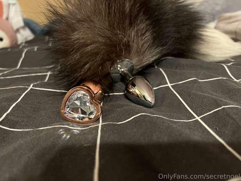 Heart plug or fluffy tail for next photos/video?