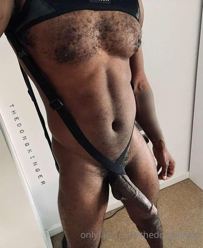 thedongkinger image #2