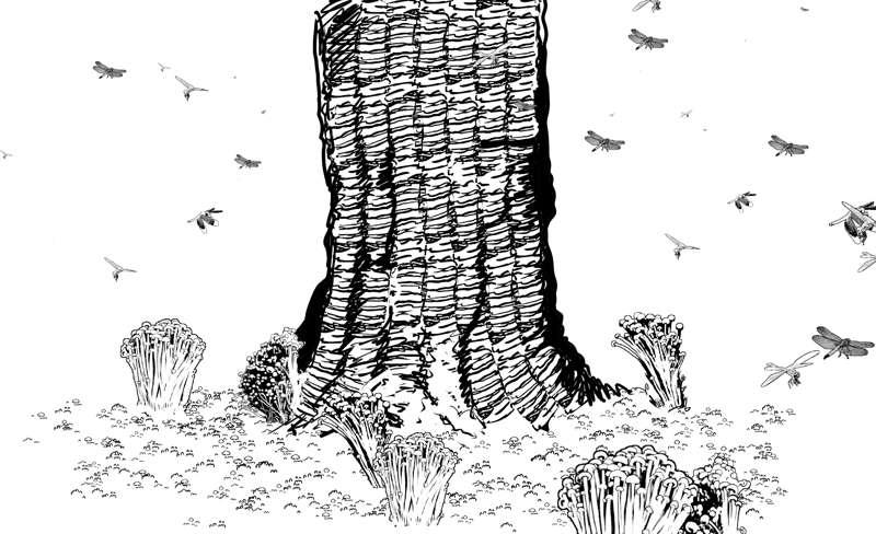 Brushes🖌 [Clip Studio] • Dragonflies, Squiggly Bark, Moss, Enoki