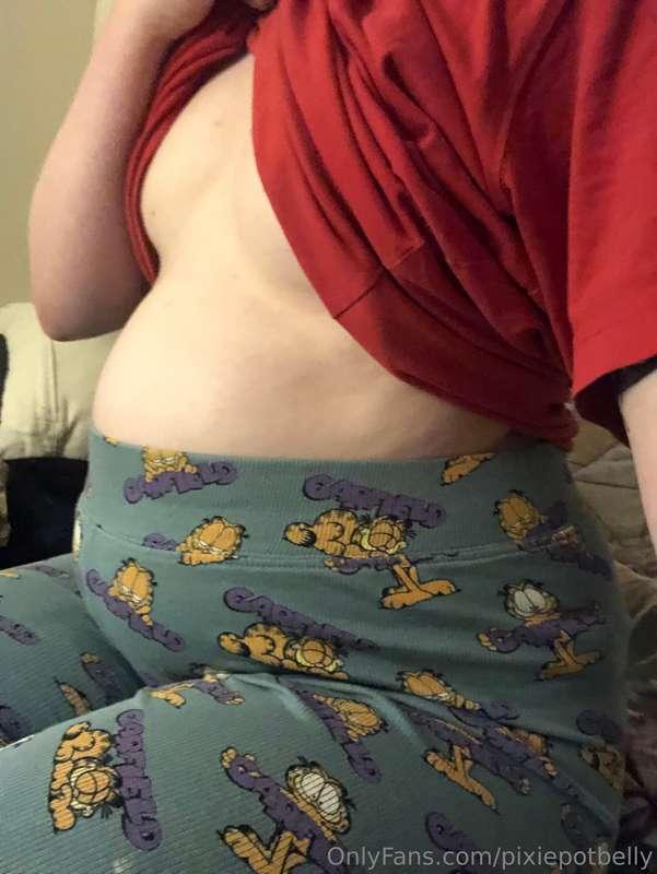 pixiepotbelly image #0