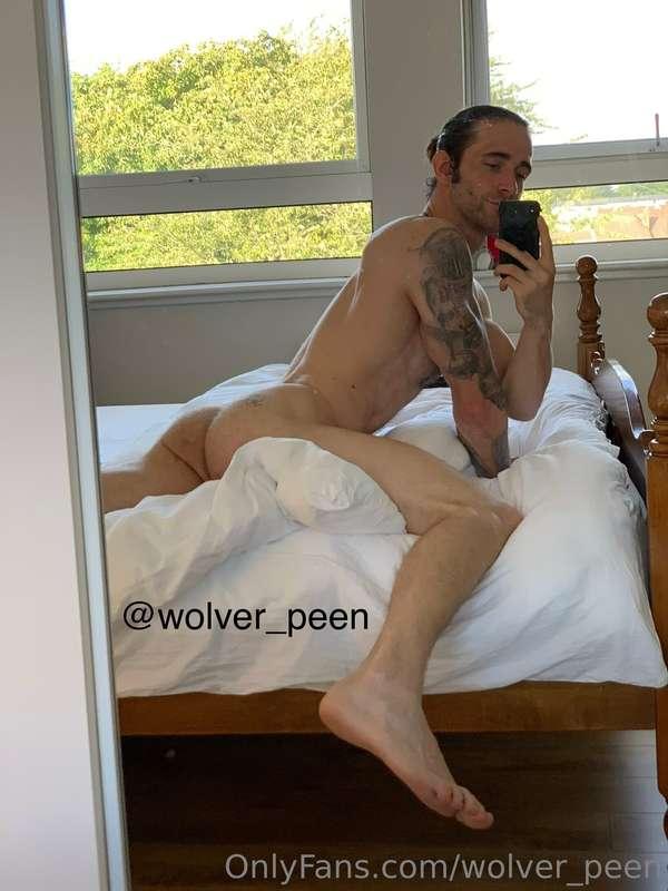 wolver_peen image #0