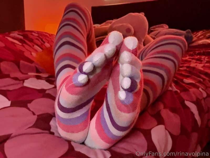 rinavolpina image #2