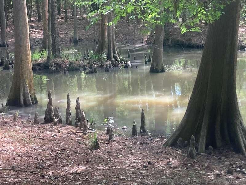 hollysweet4you image #0