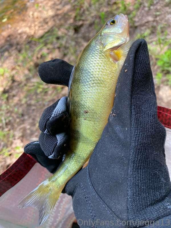 Fishing pics