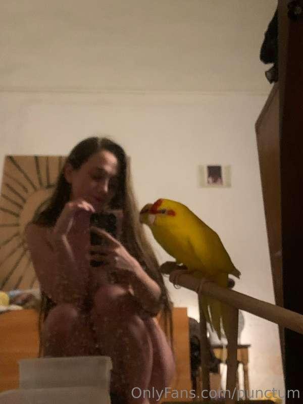 Today is 2 years since I am the mother of the best parrot in..