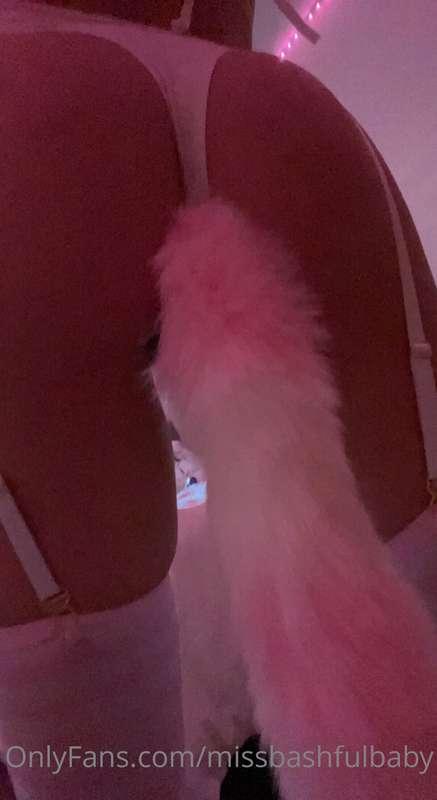do you like my new tail? 🥺 will you pet it? 👉🏻👈🏻