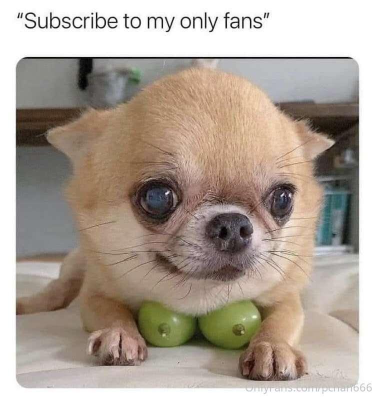 I found a very cute image.😂💛