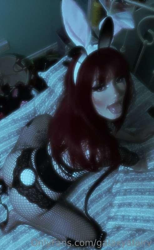 ziadoll main image