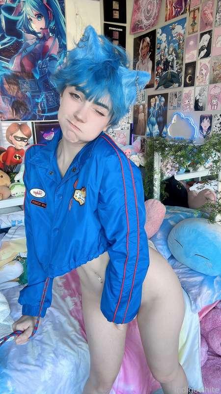 indigowhite image #182